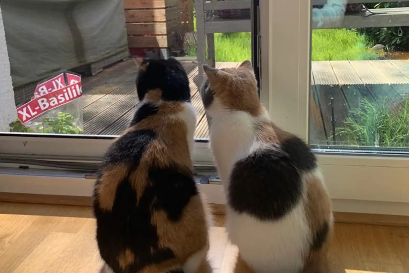 7784a08b-a99e-4186-9c6b-b584fe4a7311